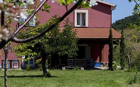 Agriturismo Campoletizia