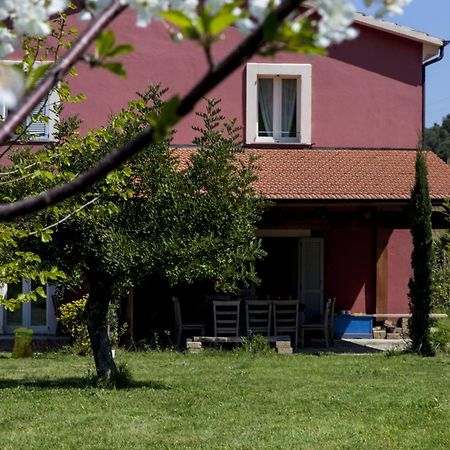 Agriturismo Campoletizia Miglianico Esterno foto