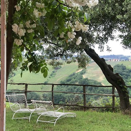 Agriturismo Campoletizia Miglianico Esterno foto