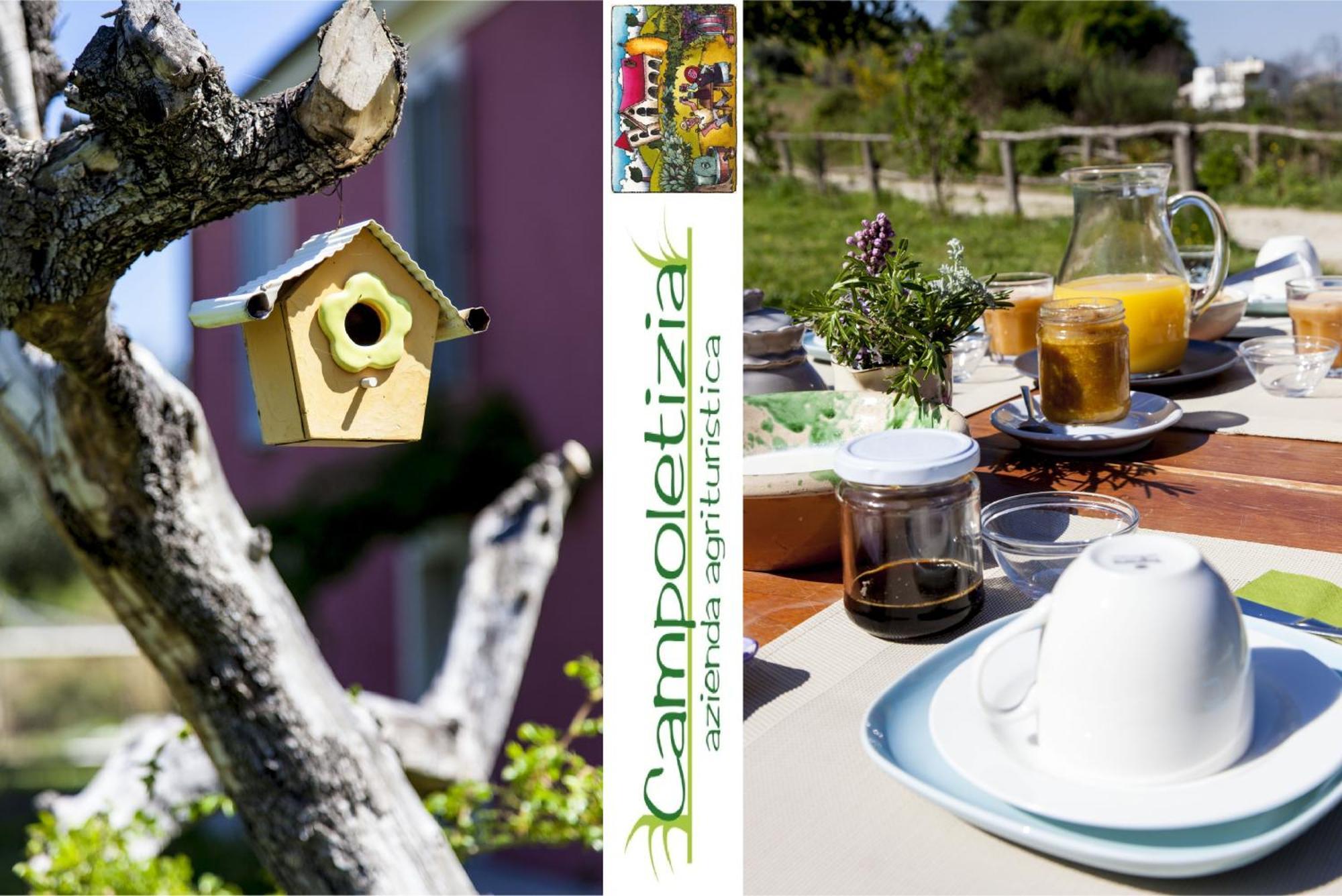 Agriturismo Campoletizia Miglianico Esterno foto