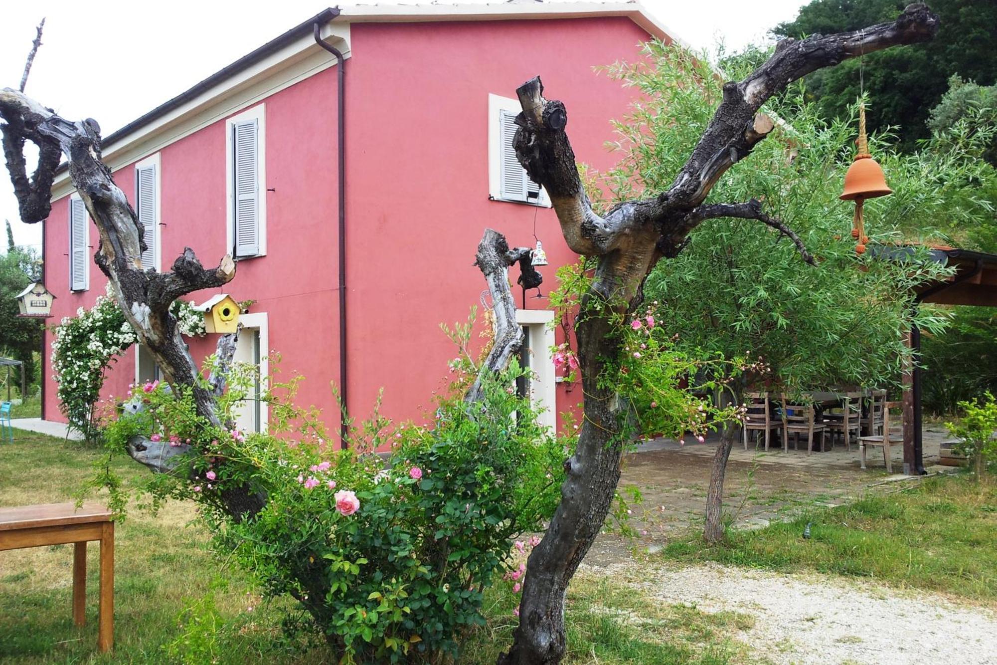 Agriturismo Campoletizia Miglianico Esterno foto