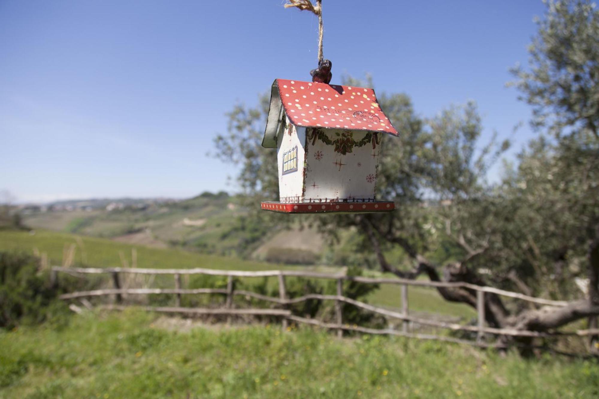 Agriturismo Campoletizia Miglianico Esterno foto