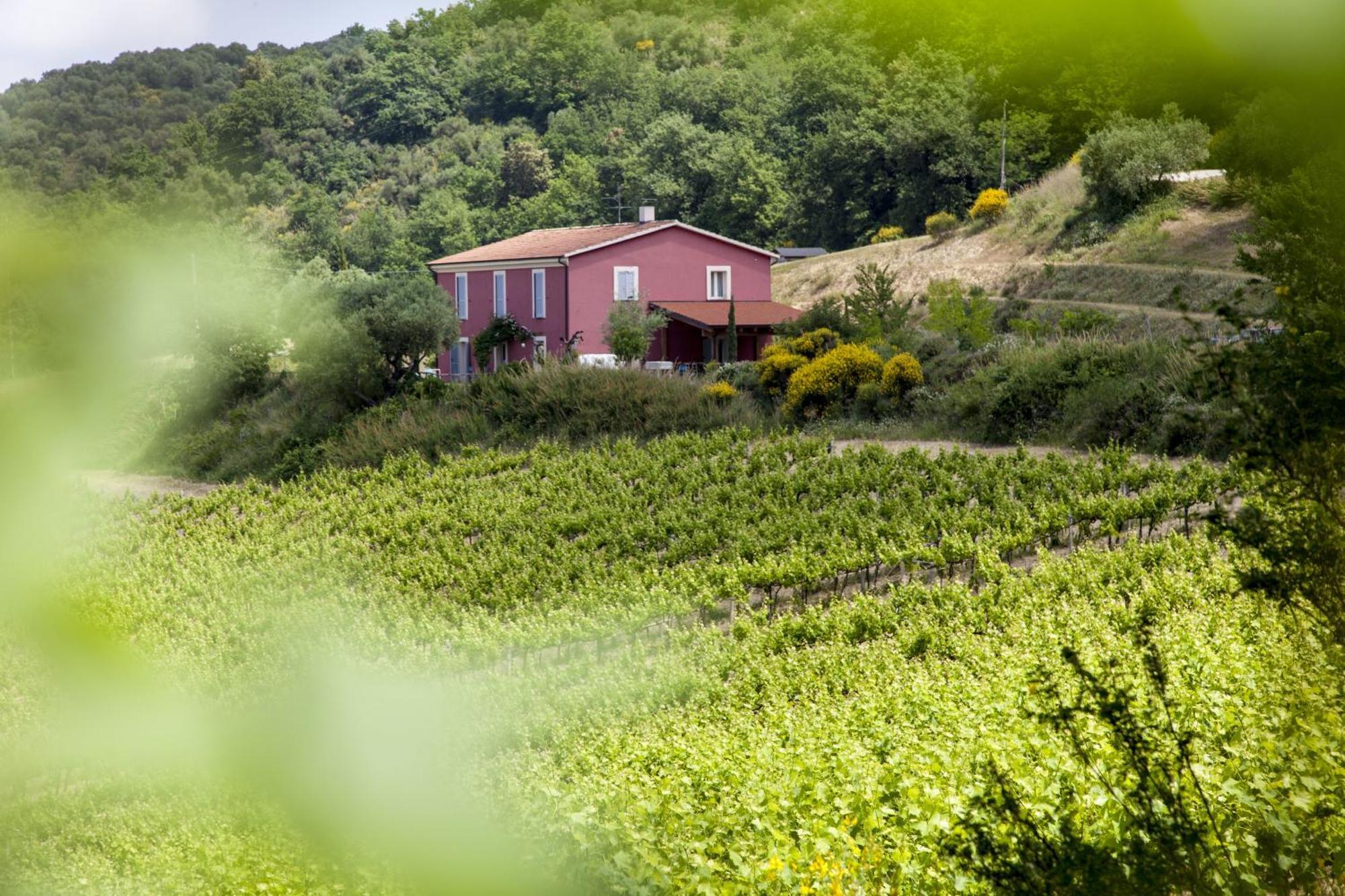 Agriturismo Campoletizia Miglianico Esterno foto