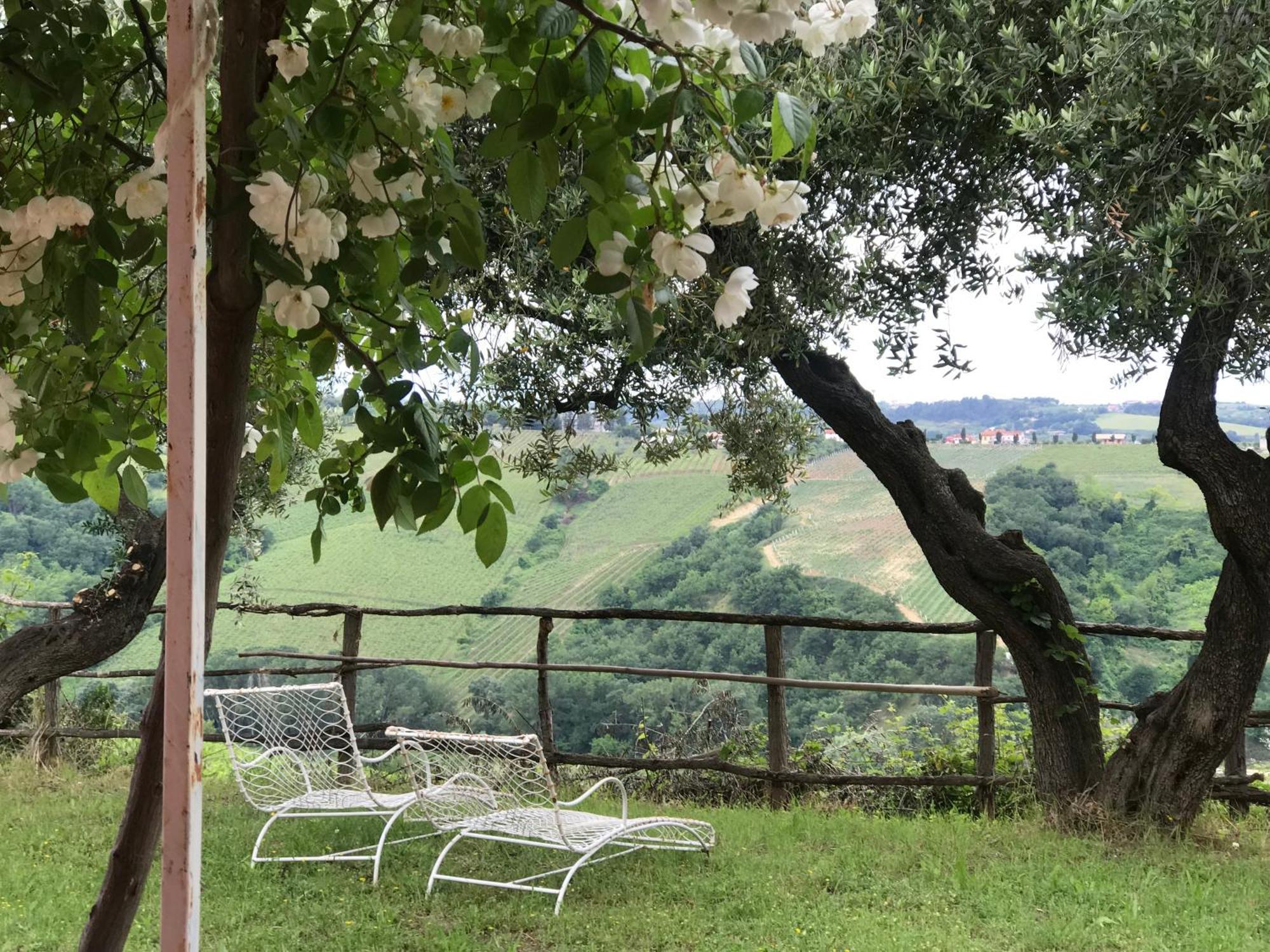 Agriturismo Campoletizia Miglianico Esterno foto