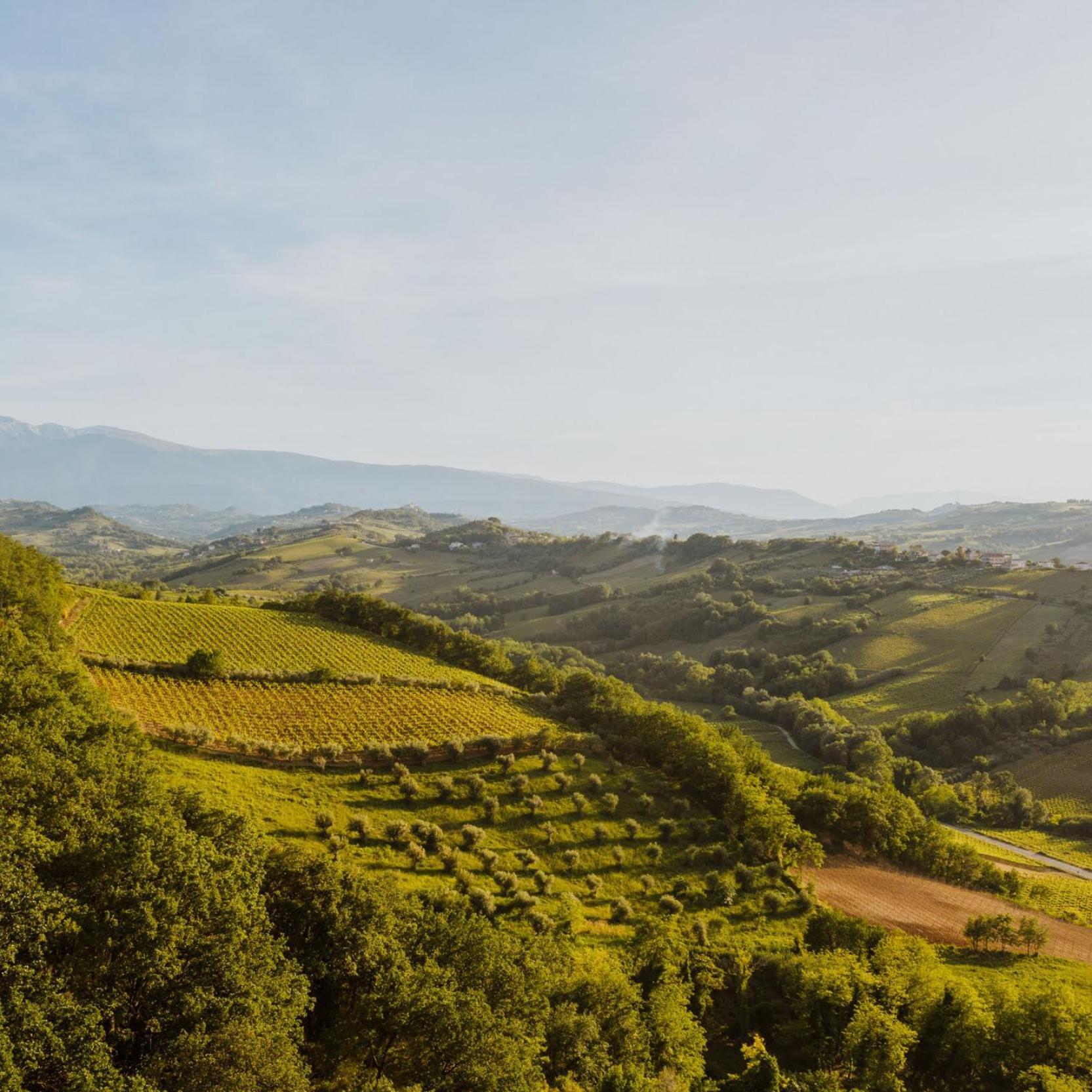Agriturismo Campoletizia Miglianico Esterno foto