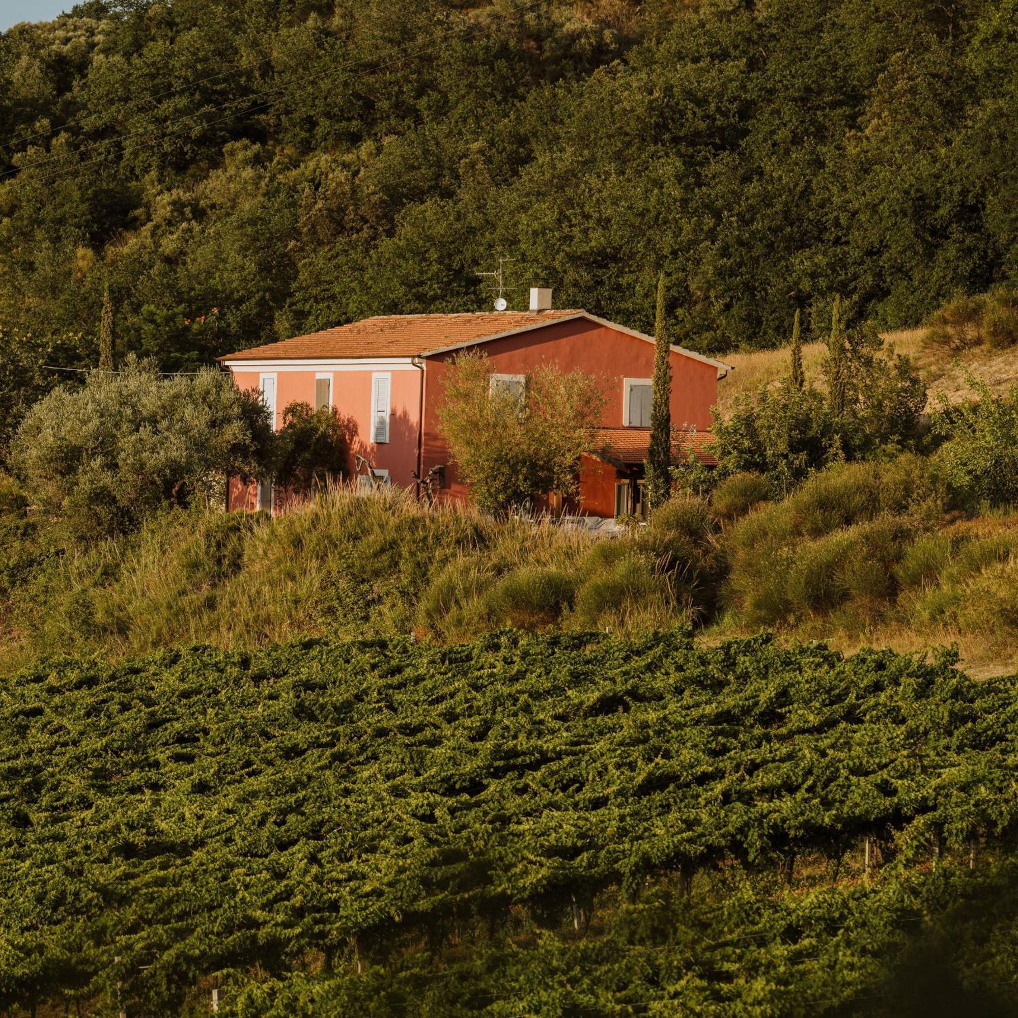 Agriturismo Campoletizia Miglianico Esterno foto