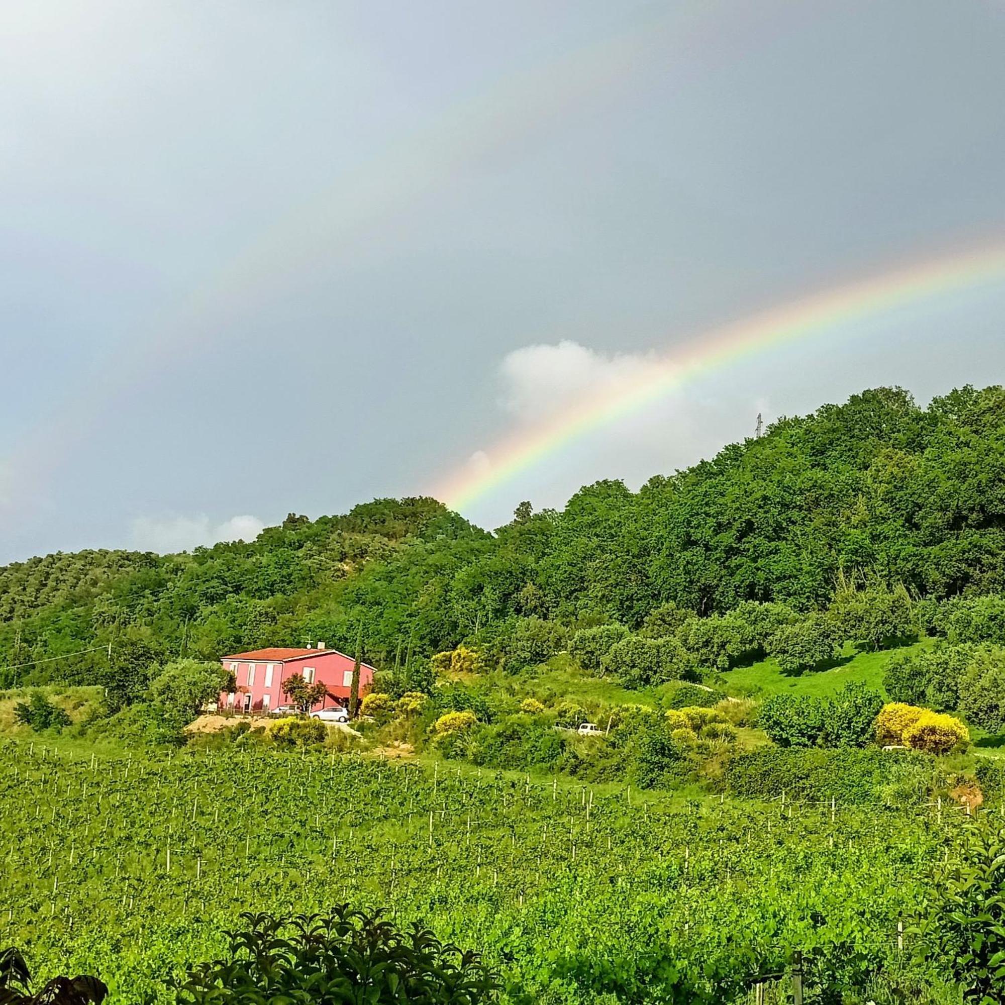 Agriturismo Campoletizia Miglianico Esterno foto